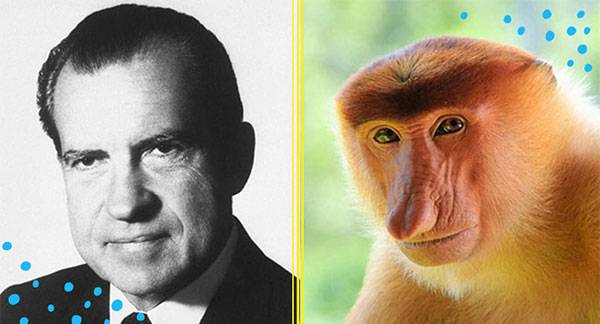 13 Animals That Look Remarkably Like Presidents