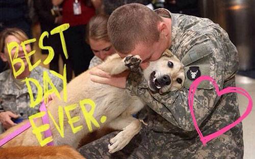 Weep of the Week: Dogs Reuniting With Their Soldier-Owners
