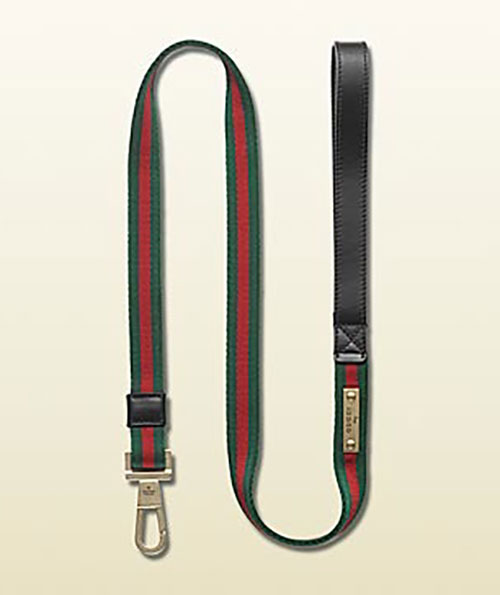 gucci leash and collar