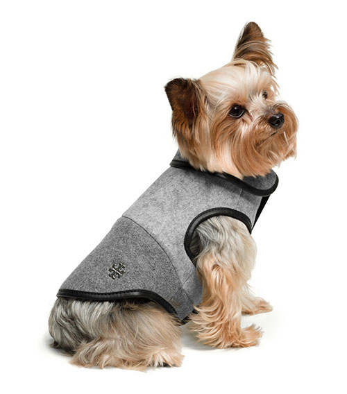 Top 20 ridiculously expensive pet gifts – Orange County Register