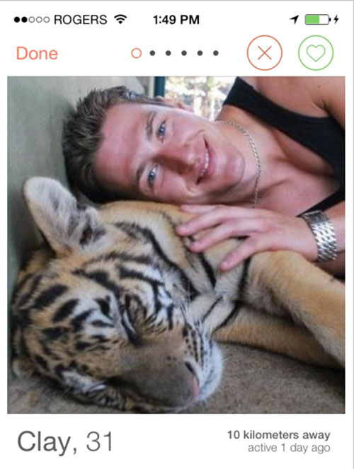 Tinder animals