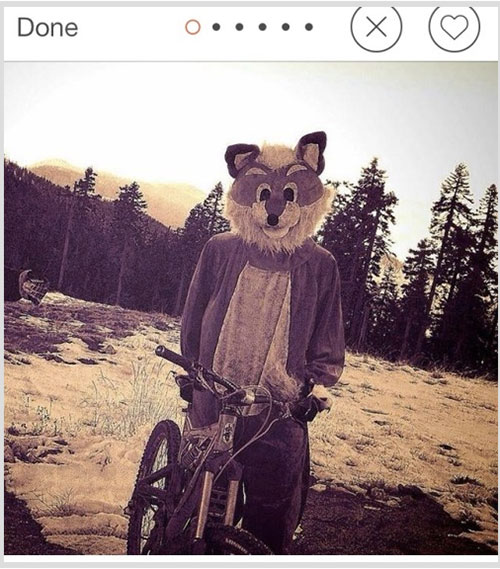 Tinder animals 11