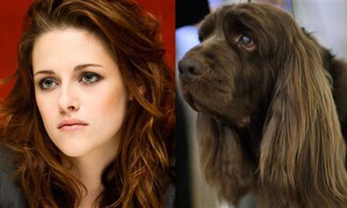 celebrity look alikes animals