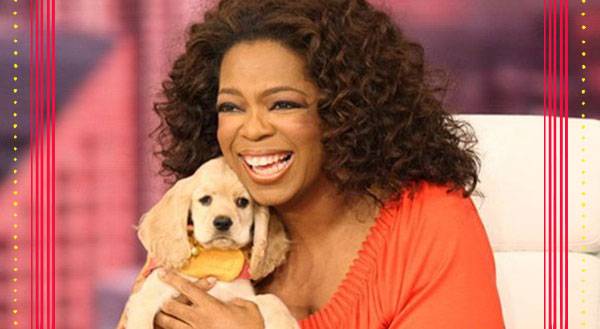 9 Pets Who Are Richer Than You Will Ever Be