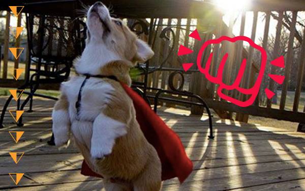 11 Superhero Pets About to Soar into Your Heart