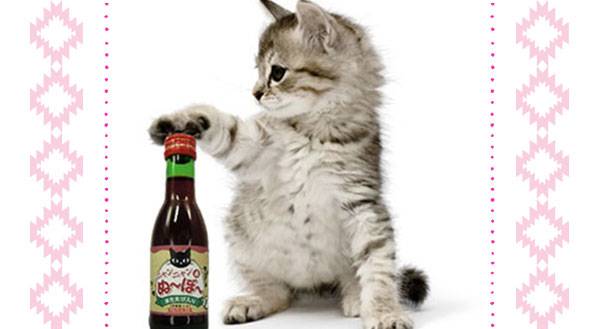 Wine for Cats: Because Everyone Needs a Cuddly Drinking Buddy