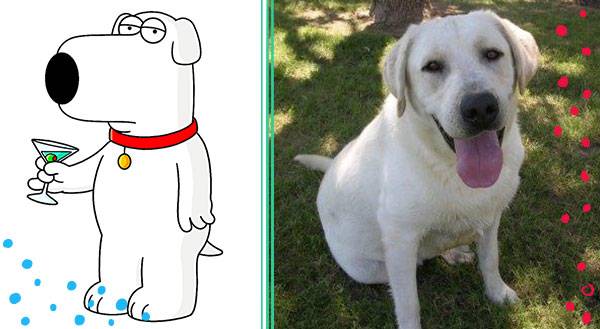 11 Cartoon Pets and Their Real-World Counterparts