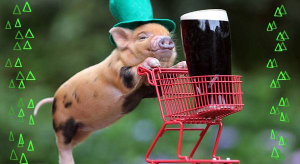 Erin Go Bark! 11 Pets That are Ready for St. Patrick’s Day