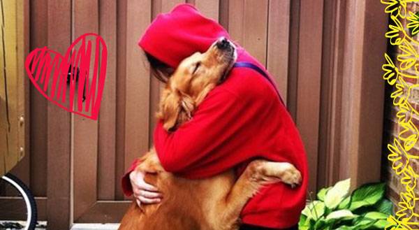The 7 Stages Of Grief When You Leave Your Pet For College