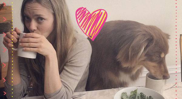 Lights, Cell Phone, Action: 13 Celebrity Pet Selfies