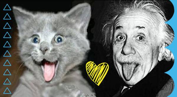 9 Famous People Who Freak 4 Their Cats