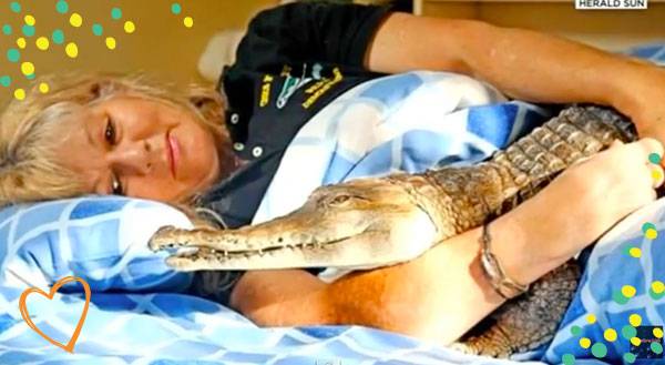 Meet the Woman that Curls Up With a Crocodile Every Night [VIDEO]