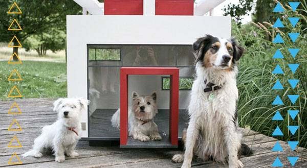 7 Dog Houses That Are Better Than Your Own Home