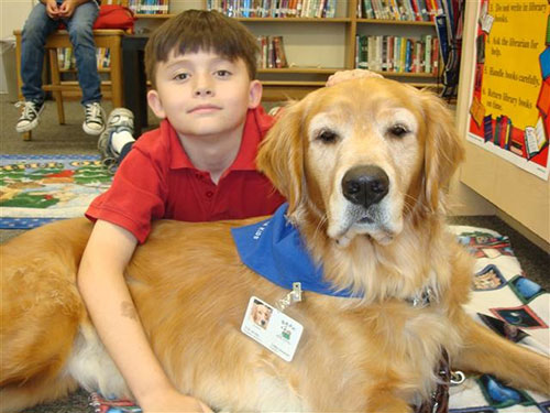 TherapyDogs