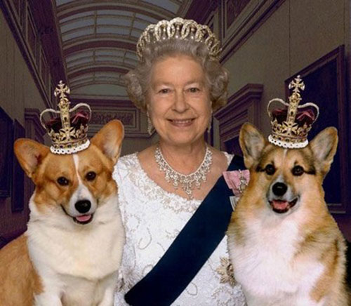 RoyalPets