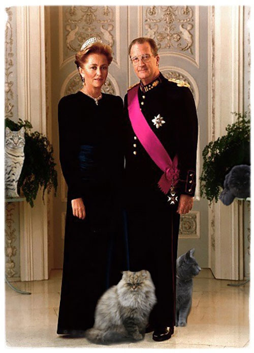 RoyalPets 3